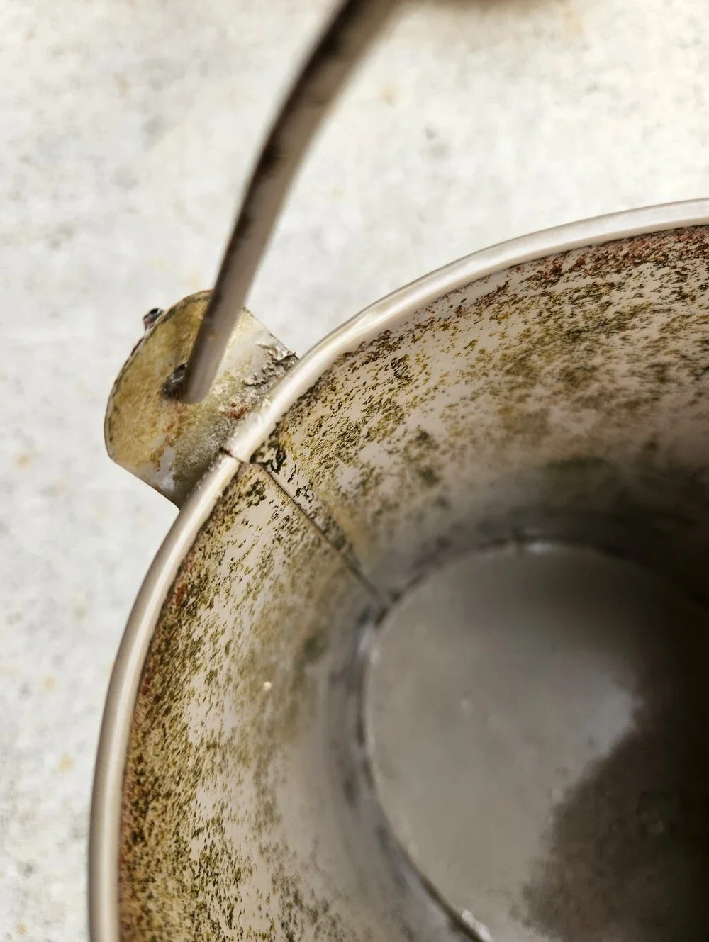 Vintage Woodland Art Print Handled Metal Pail Bucket Birds Nest w/Script Writing
